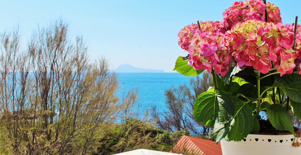 Puntaquattroventi Otel Ercolano Dış mekan fotoğraf